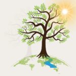 Stichting Beeldkracht en Natuurkracht